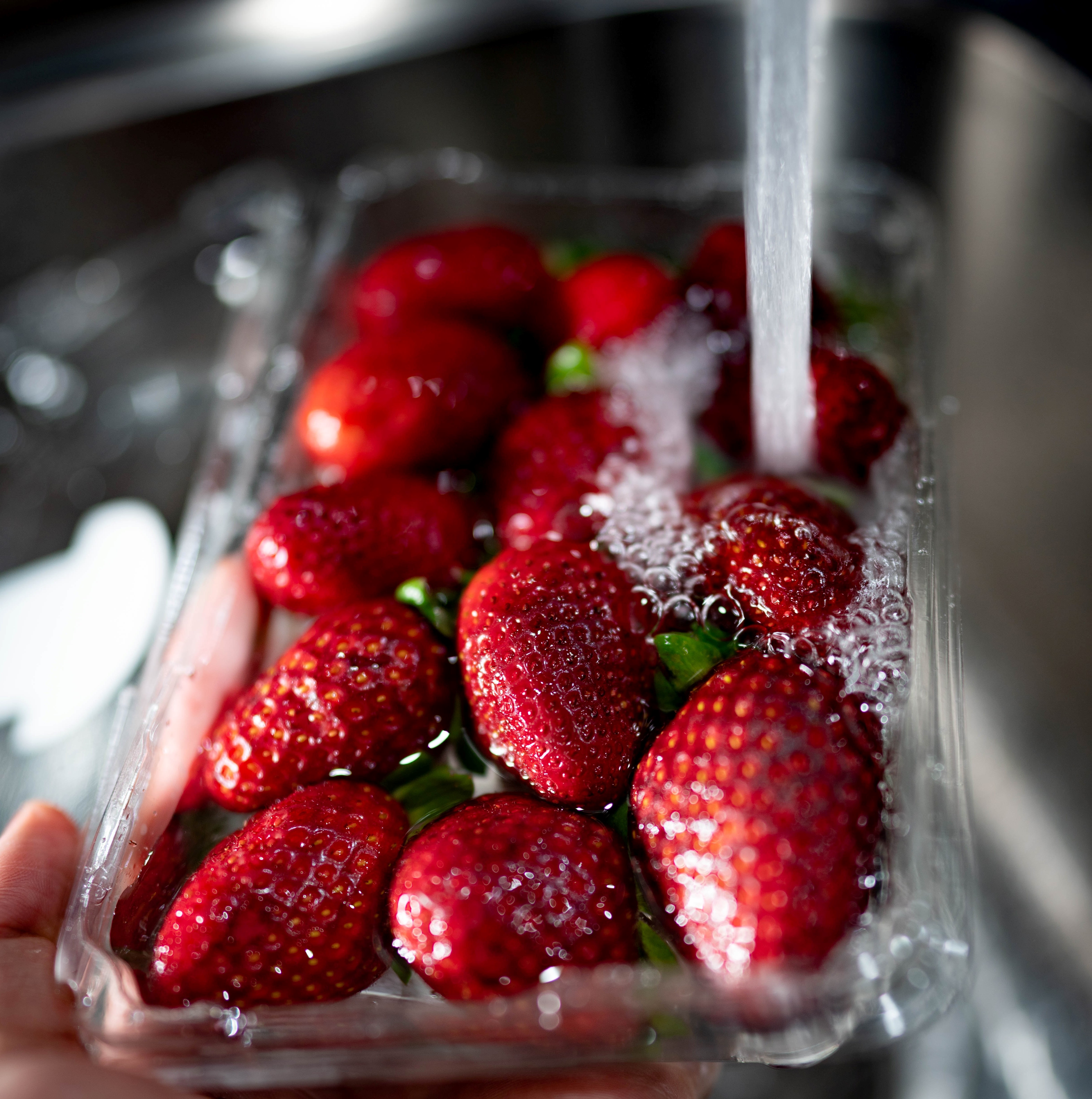 Food Quality and Safety